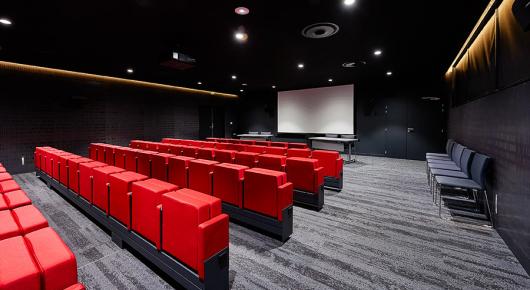 Salle de projection